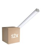Multipack 12x Philips Réglette LED Étanche WT060C 20W 2500lm - 840 Blanc Froid | 120cm